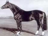 Ordensglanz