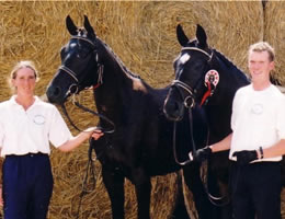 Godington Mares at Grading